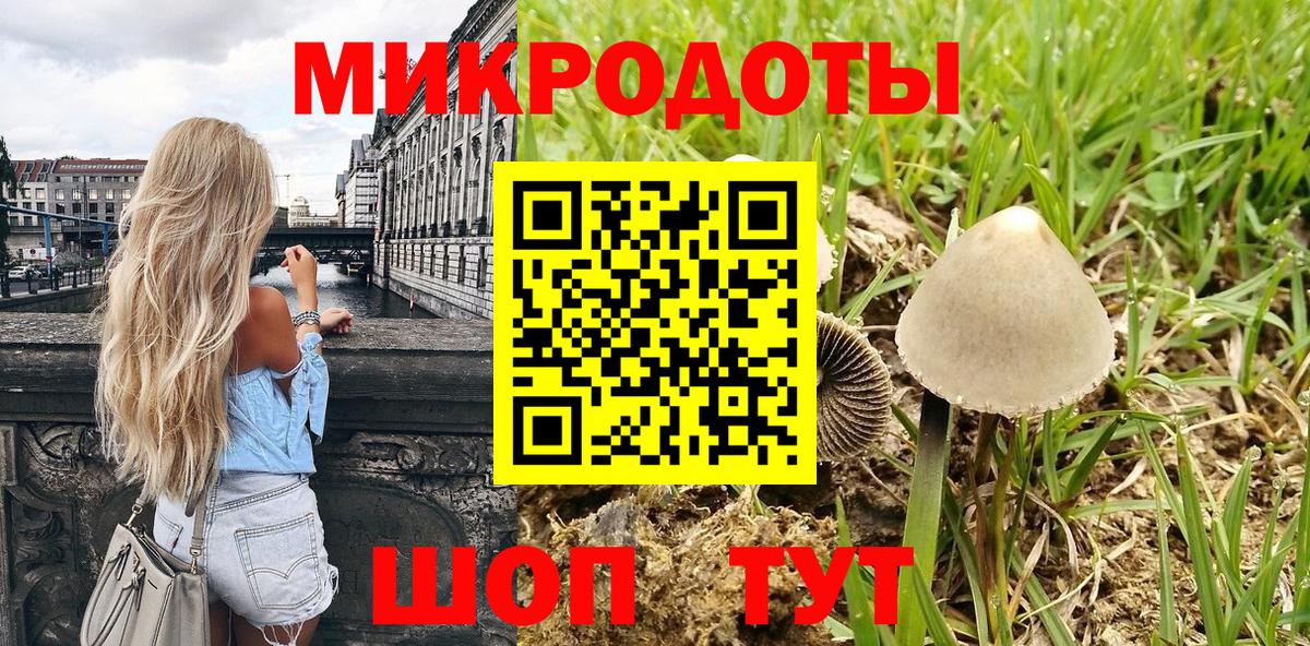 Псилоцибиновые грибы Psilocybine cubensis  Вход с VPN  Балашиха 