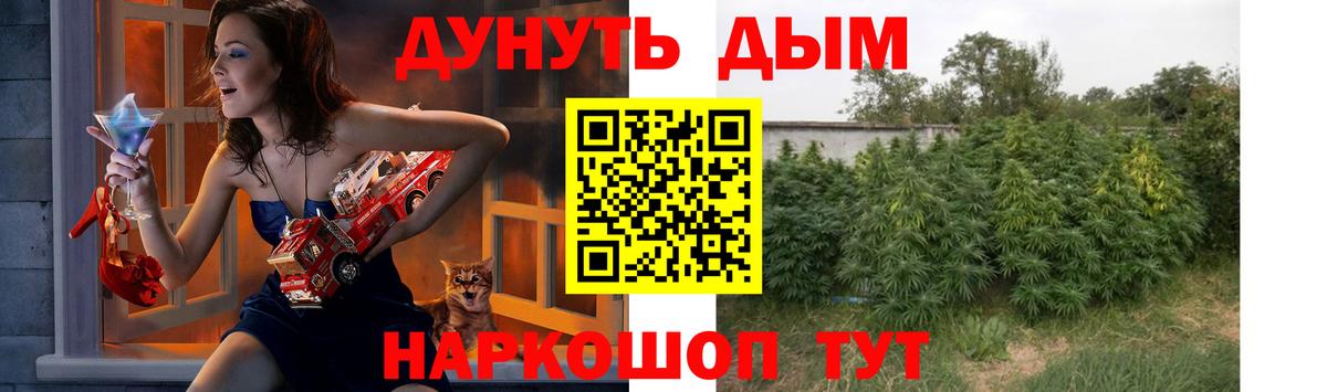 Каннабис тримм  Вход с VPN  МАРИХУАНА ГИДРОПОН  Балашиха  Канабис семена 
